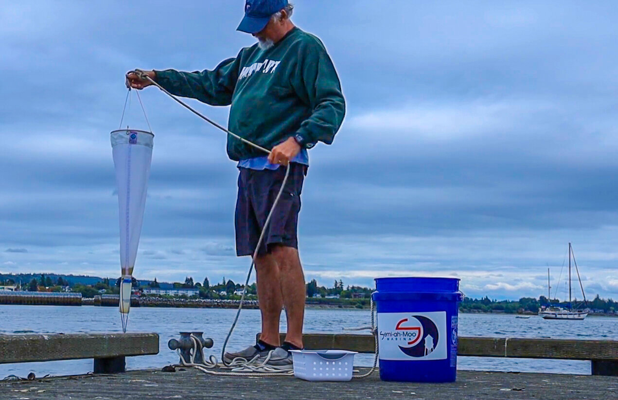Citizen scientists monitor Birch Bay, Drayton Harbor for red tide | The Northern Light